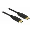 Image de Delock - Câble USB - 24 pin USB-C (M) pour 24 pin USB-C (M) - USB 2.0 - 5 A - 2 m - noir