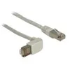 Image de Delock - Cordon de raccordement - RJ-45 (M) pour RJ-45 (M) - 50 cm - Paire torsadée blindée (SSTP) - CAT 6a - incliné, sans halogène - gris