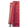 Image de Igora Royal 7-77 Blond Cuivré Intense 60 ML