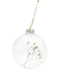 Image de Boule en verre décorative naturelle - branche de gypsophile - 8 cm