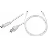 Image de LogiLink Câble USB 2.0 USB-C - USB-B mâle 10 m gris