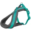 Image de Premium Touring Harnais - S: 35-50 Cm/20 Mm, OcÃ©an