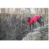 Image de ImpermÃ©able Pour Chien - Trixie - Vimy - Rouge - ImpermÃ©able - RÃ©flÃ©chissant