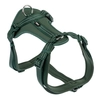 Image de Harnais TIAKI Néoprène, vert pour chien - taille S : tour de poitrail 32 - 56 cm