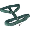 Image de Harnais Nomad Tales Blush, émeraude pour chien - taille S : tour de poitrail 37 - 53 cm, l 15 mm
