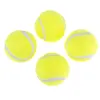 Image de Lanceur automatique de balles de tennis Nomad Tales Bloom pour chien - 4 balles de tennis de rechange