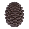 Image de Casse-tête en forme de pomme de pin TIAKI pour chien 12 x 9 x 9 cm