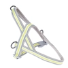 Image de Harnais No-pull TIAKI en taille M : env. 65-75 cm de tour de poitrail, pour chien