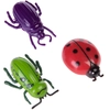 Image de 1 lot de 3 jouets Insectes pour chat