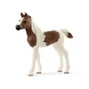 Image de Schleich Horse Club Poulain Pintabian