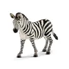 Image de Wild Life ZÃ©brelle