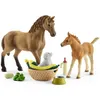 Image de SCHLEICH - Figurine 42432 Les soins pour bébé animaux d'Horse Club Sarah