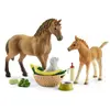Image de Schleich schleich HORSE CLUB Soins bébé animaux de Sarah