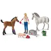 Image de schleich FARM WORLD Visite du vÃ©tÃ©rinaire pour jument et poulain