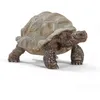 Image de schleich WILD LIFE Tortue gÃ©ante