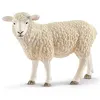Image de 13882 Mouton