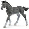 Image de schleich HORSE CLUB Poulain Trakehnen