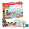 Image de Coffret Expédition En Antarctique, Figurines Animaux Sauvages, Schleich 42558 Wild Life, Pour Enfant Des 3 Ans