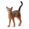 Image de Schleich Chat Abyssin