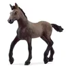 Image de Schleich Schleich Horse Club Poulain Paso Péruvien