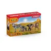 Image de Kit de base Wild Life - 42387 - Gamme Wild Life