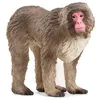 Image de schleich WILD LIFE Macaque japonais
