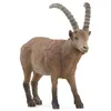 Image de schleich WILD LIFE Bouquetin