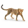 Image de Wild Life GuÃ©pard Femelle