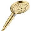 Image de Hansgrohe Raindance Select S 120 Douchette 3 jets, 26531990