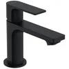 Image de Hansgrohe Rebris E Robinet 80, 72506670