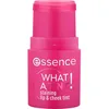 Image de Essence - Encre Joues Et LÃ¨vres What A Tint! Lip & Cheek Tint - 10 Raspberry Vibes