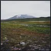 Image de Tundra