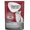 Image de 12x85g Maine Coon Adult Concept for Life - Pâtée pour chat