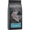 Image de 12kg Briantos Adult saumon, pommes de terre SANS CÉRÉALES - Croquettes pour chien