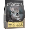 Image de 1kg Briantos Junior poulet, pommes de terre SANS CÉRÉALES - Croquettes pour chien