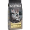 Image de 12kg Briantos Junior poulet, pommes de terre SANS CÉRÉALES - Croquettes pour chien