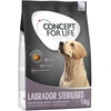 Image de 1kg Labrador Sterilised Concept for Life - Croquettes pour chien