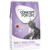 Image de 2,5kg Mum & Young Kittens Concept for Life Croquettes pour chat + 500g offerts !
