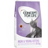Image de 10kg Mum & Young Kittens chatte et chaton Concept for Life - pour chat
