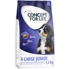 Image de 1,5kg X-Large Junior Concept for Life - Croquettes pour chien