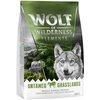 Image de Wolf of Wilderness Sensitive "Untamed Grasslands", cheval pour chien - 300 g