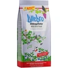 Image de Lillebro Nourriture avec des baies pour oiseaux sauvages - 1,5 kg
