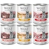 Image de Wolf of Wilderness Senior  Expedition  6 x 800 g pour chien - lot mixte