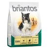 Image de Briantos Senior, volaille, riz pour chien - 1 kg