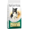 Image de Briantos Senior, volaille, riz pour chien - 14 kg