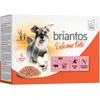 Image de Briantos Delicious Paté 12 x 100 g pour chien - boeuf