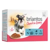 Image de Briantos Bouchées en sauce 12 x 100 g pour chien - saumon, carottes