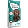 Image de 12kg Concept for Life Large Adult croquettes pour Chien