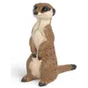 Image de Suricate