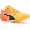 Image de Puma Evospeed Future 6 M Chaussures Homme